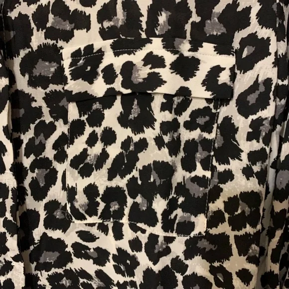 Button down - Picture 5 of 5